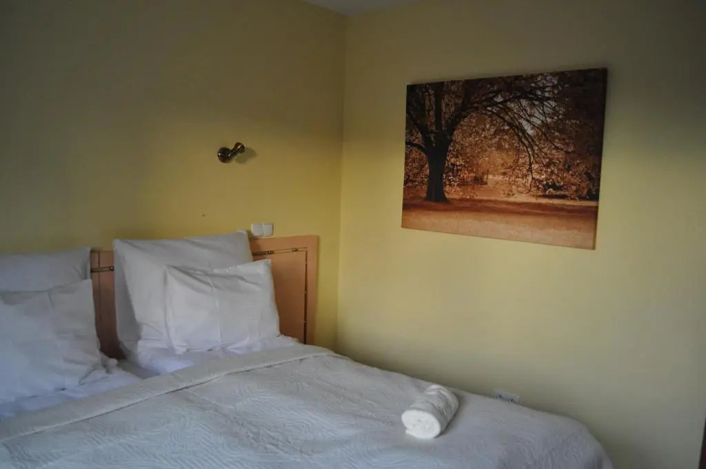 Standard room with mountain view