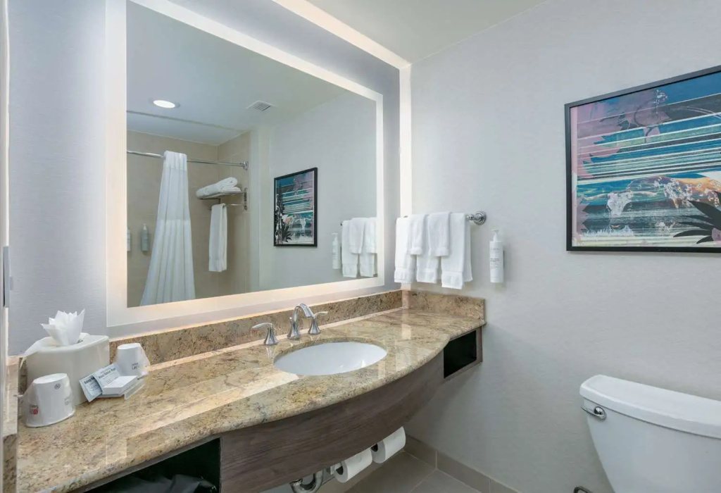 Hilton Garden Inn Dallas/Arlington - Chambres
