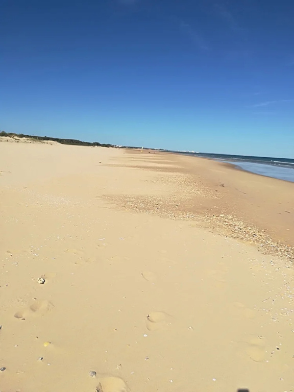 Tavira Garden - Général