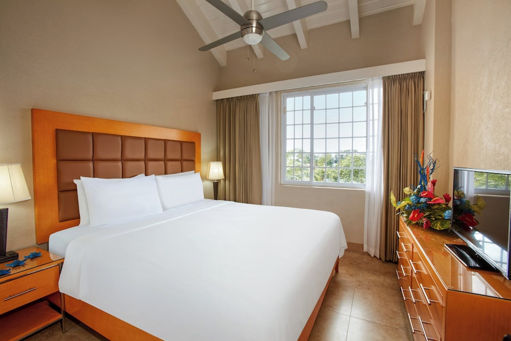 1 Bedroom Suite with view
