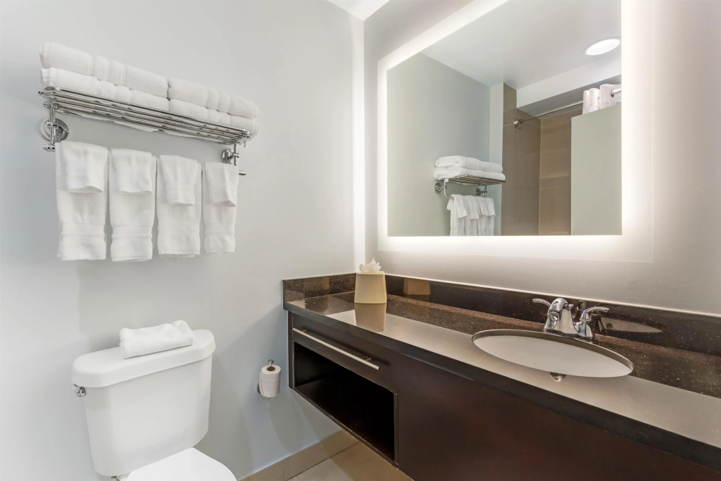 Best Western Plus Miami Airport North Hotel & Suites - Général