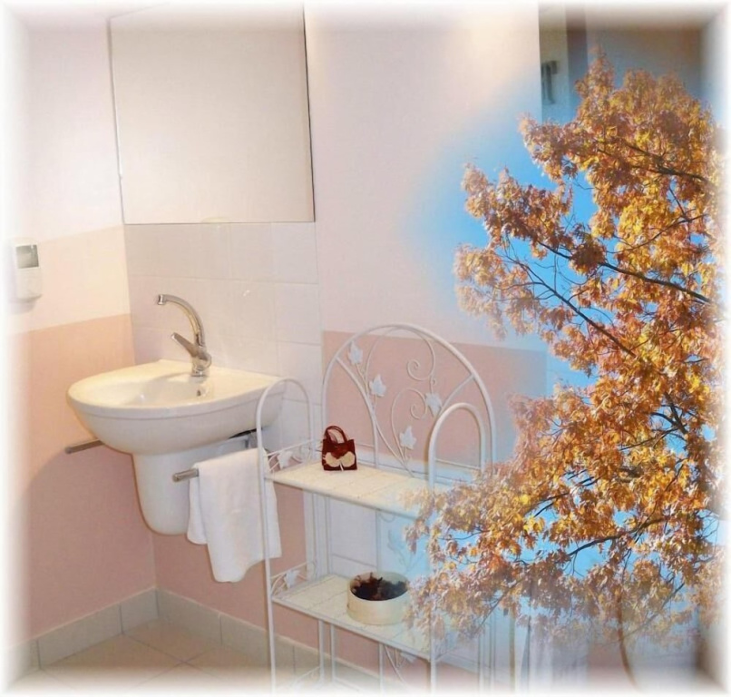 Afficher la photo 7 — Natur'Hôtel