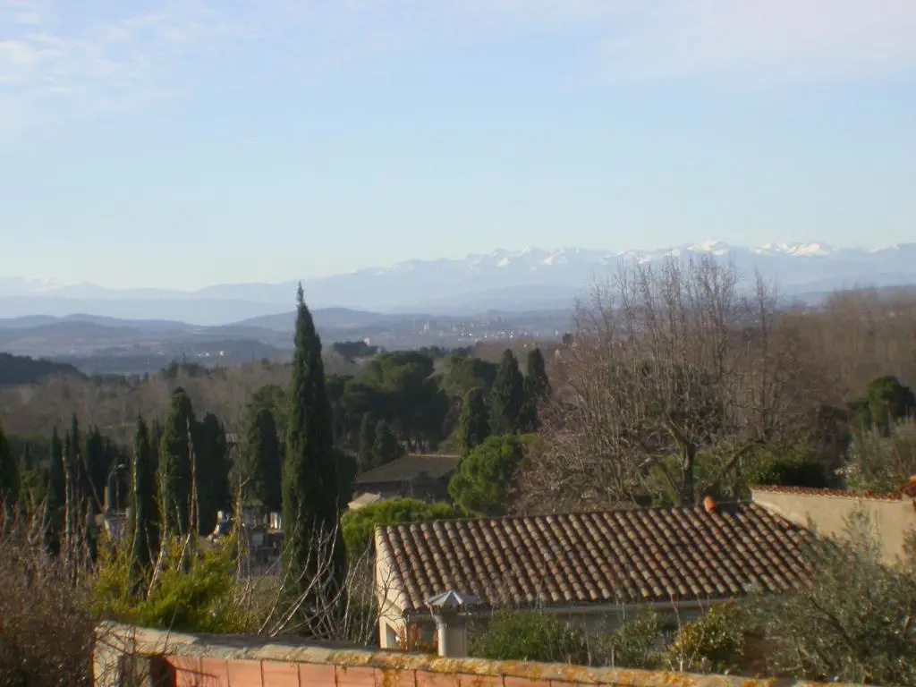 Standard Double room with garden view (full double bed)