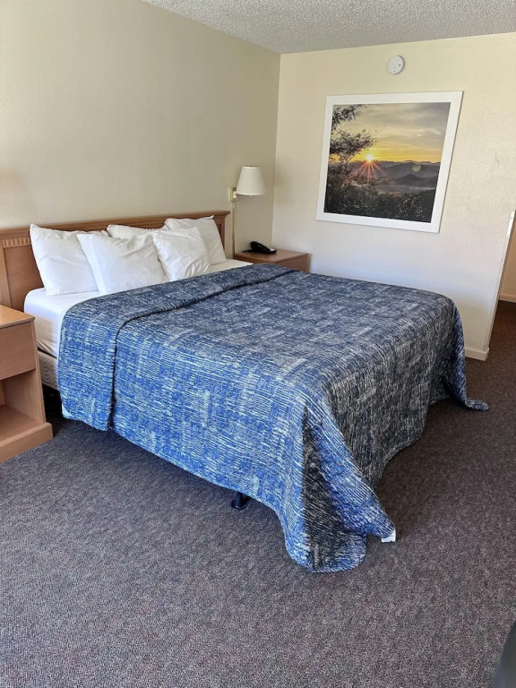 Hot Springs Hotel and Spa - Chambres