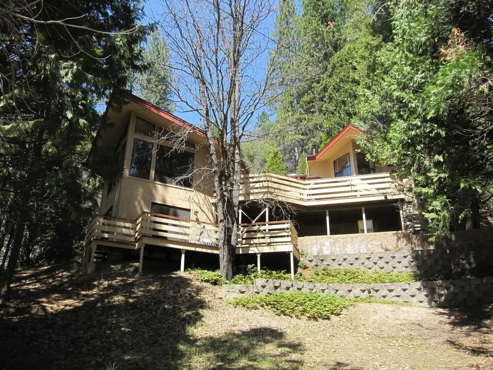 Pohono Pines