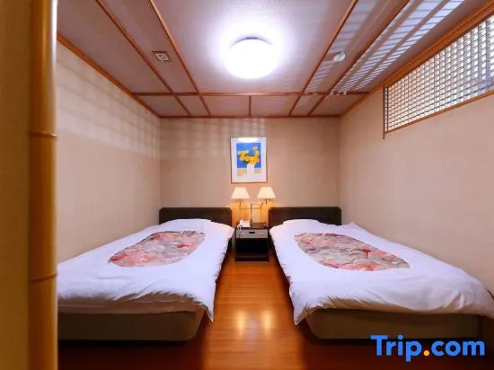 Standard Double room with mountain view (twin beds)