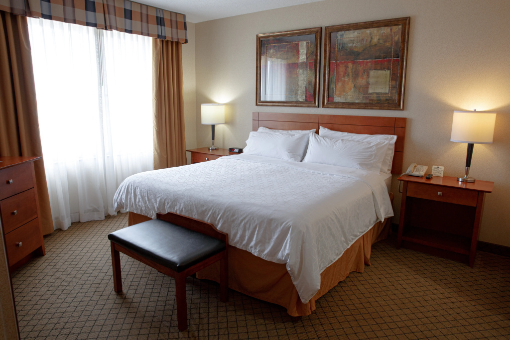 Holiday Inn Battle Creek by IHG - Général