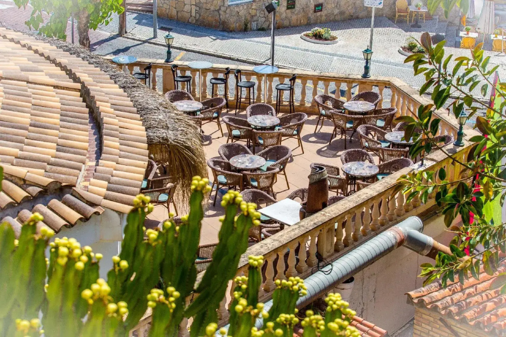 Hotel Playas de Paguera - Général