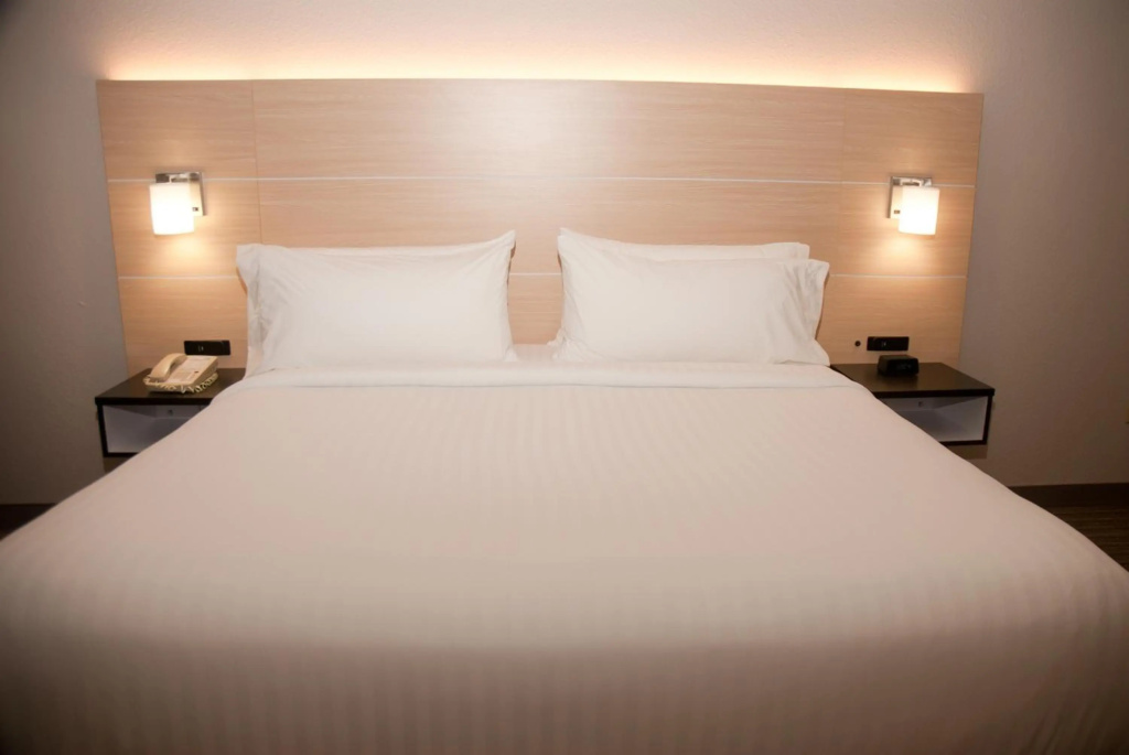 Holiday Inn Express Hotel & Suites Athens by IHG - Général
