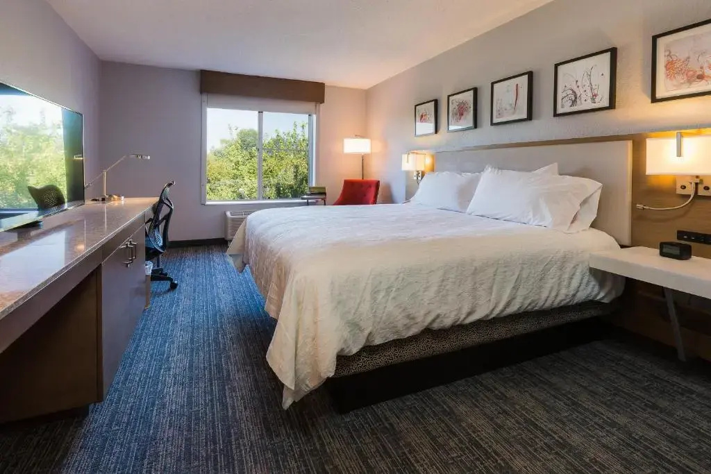 Hilton Garden Inn Atlanta Northpoint - Chambres