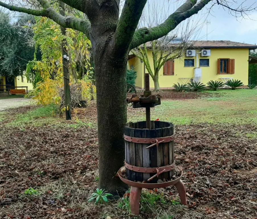 Agriturismo Podere Bedin