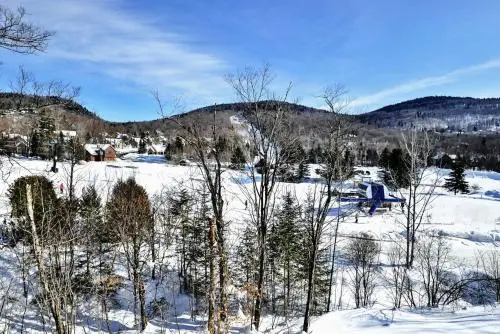 Chalet 33 Chemin du Hameau #204