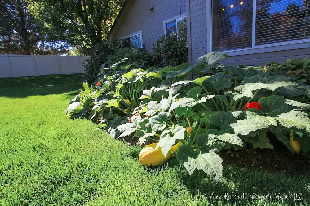West Boise Family Stunner!