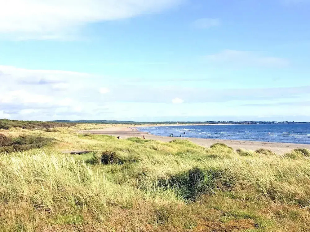 4 Person Holiday Home in Mellbystrand