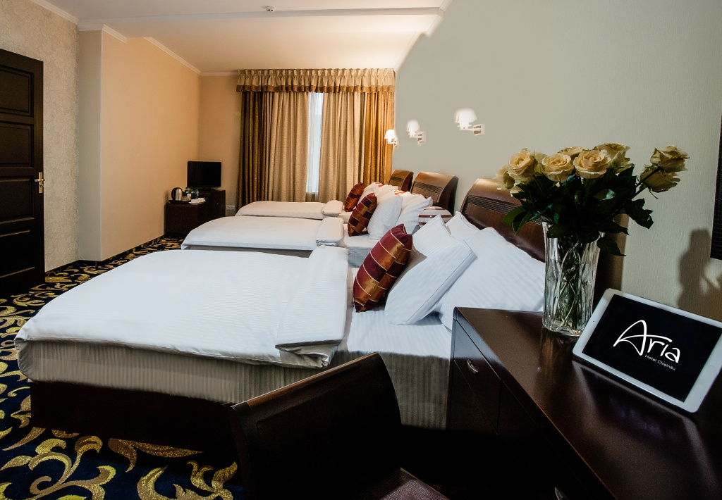 Aria Hotel Chisinau - Général