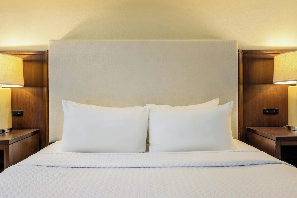 Hotel Dax - Chambres