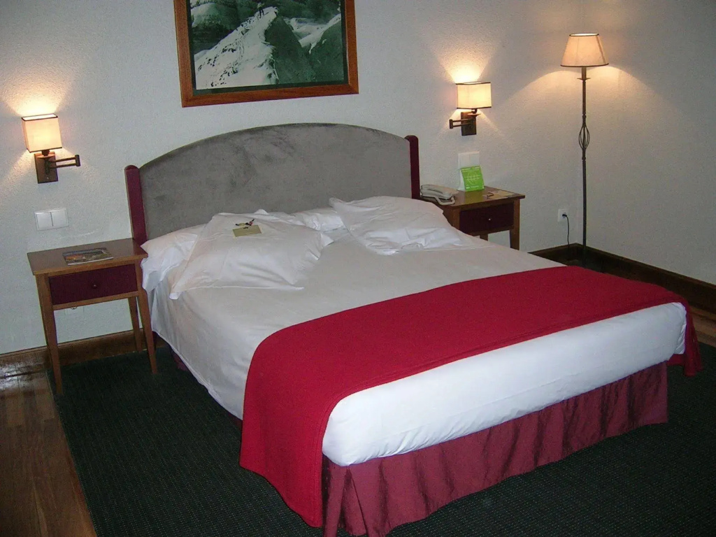 Sno Hotel Formigal - Général
