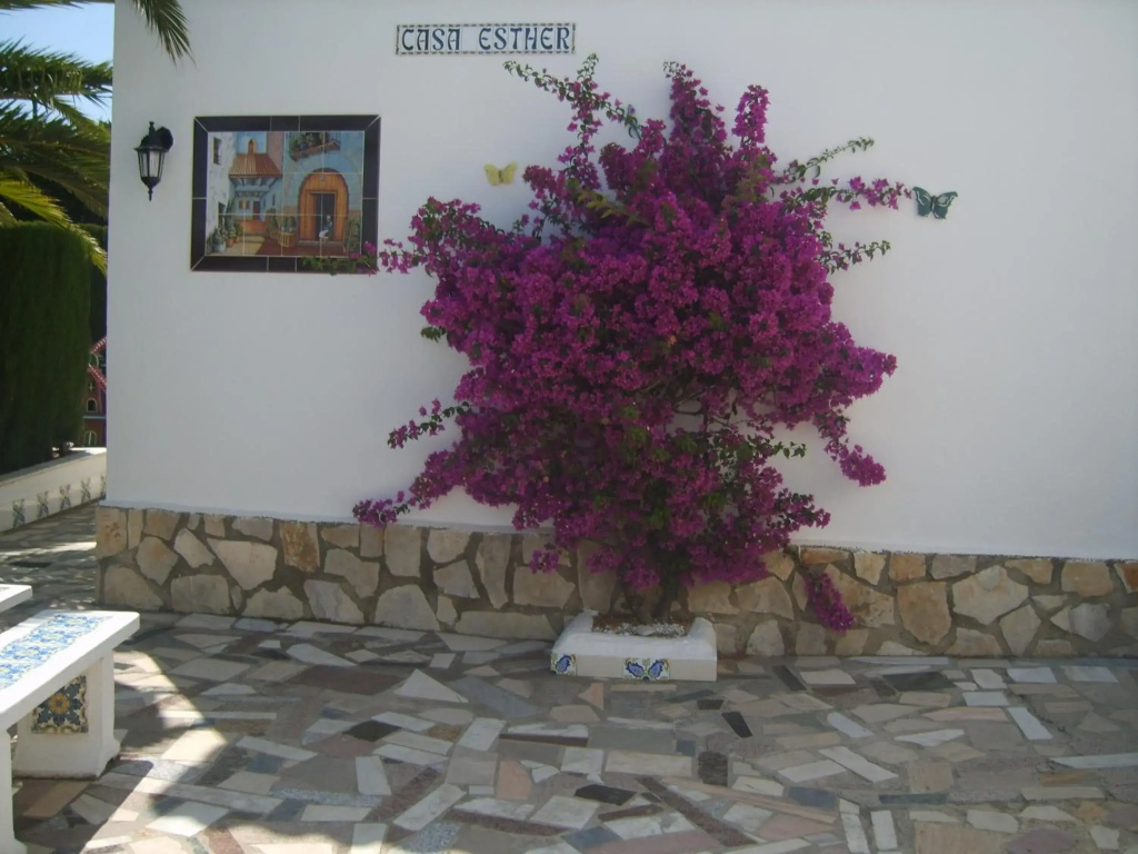Bungalow 90m2, Airco 2, Pool 5x10, Sandy Beach 200m, Wifi, Carport for 2 Cars