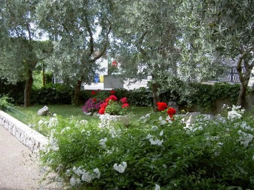 Apartments Dario