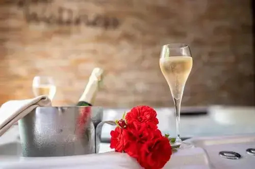 Le Moulin du Landion Hôtel & Spa - Général