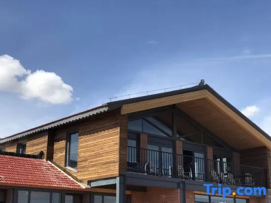 Daidai Hostel