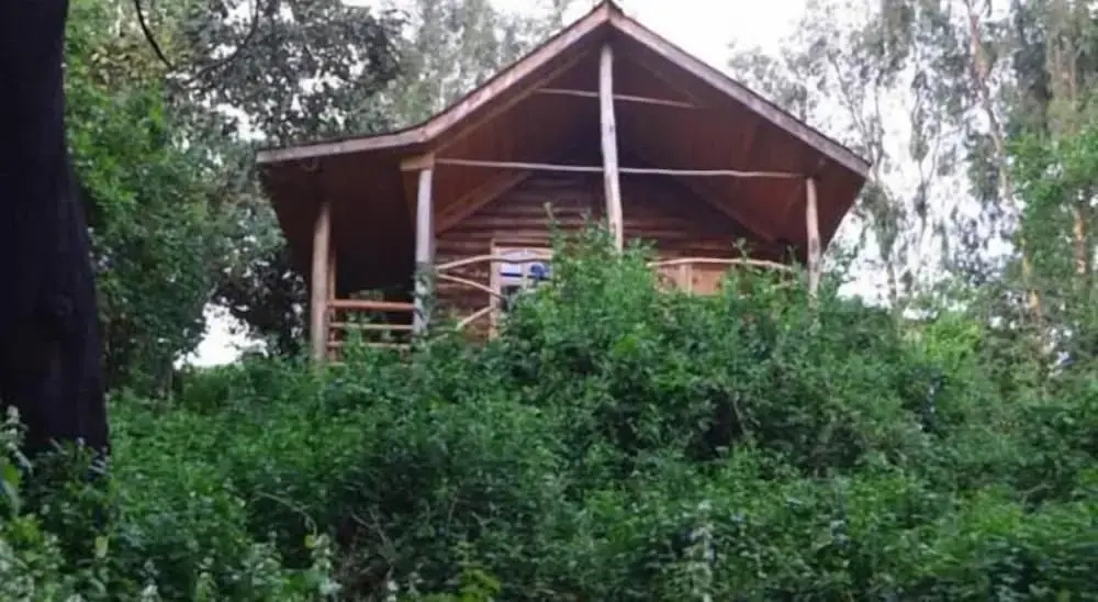 Lake Bunyonyi Eco Resort - Chambres
