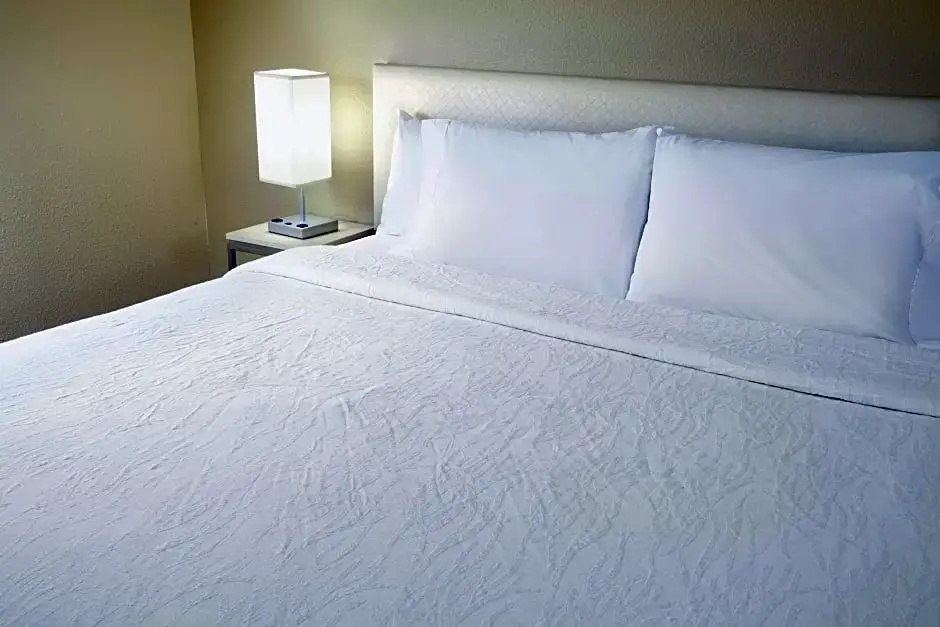 Hilton Garden Inn Savannah Midtown - Chambres