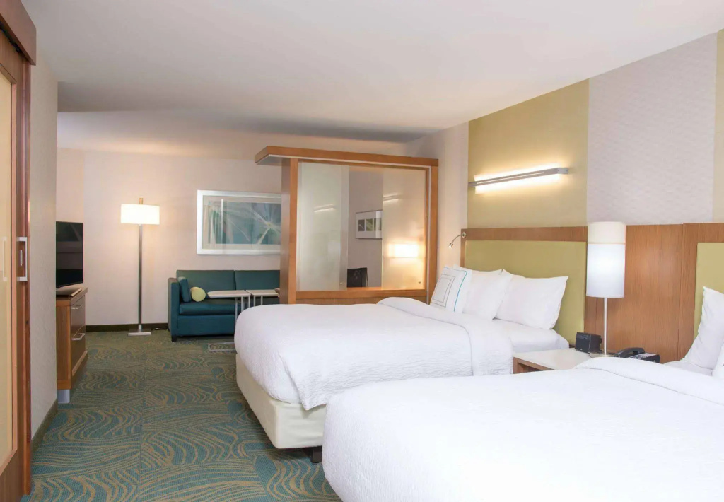 Springhill Suites Houston Sugar Land - Général