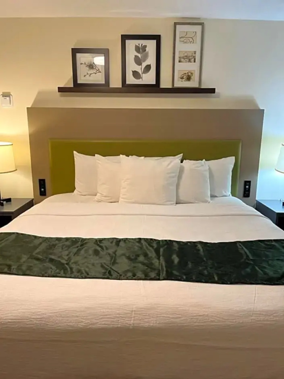 Pictured Rocks Inn & Suites - Chambres
