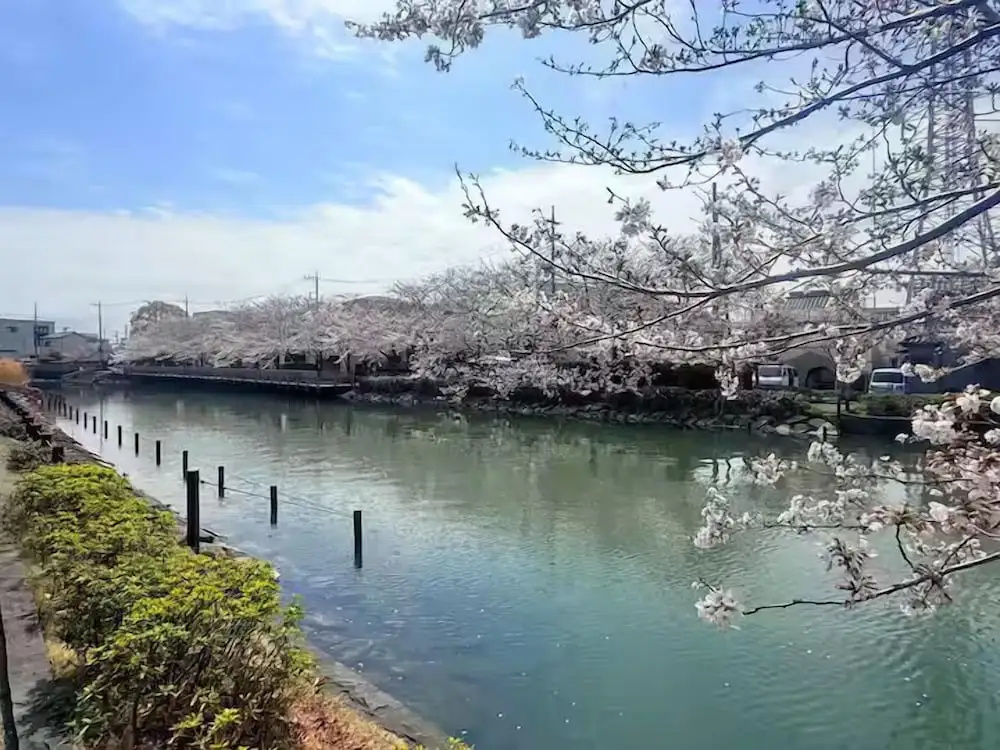 Nakakasai 2 kodate 사진 13