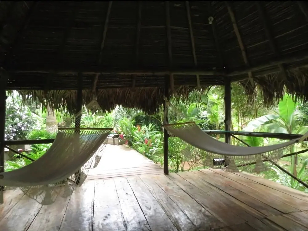 Monkey Lodge Panama