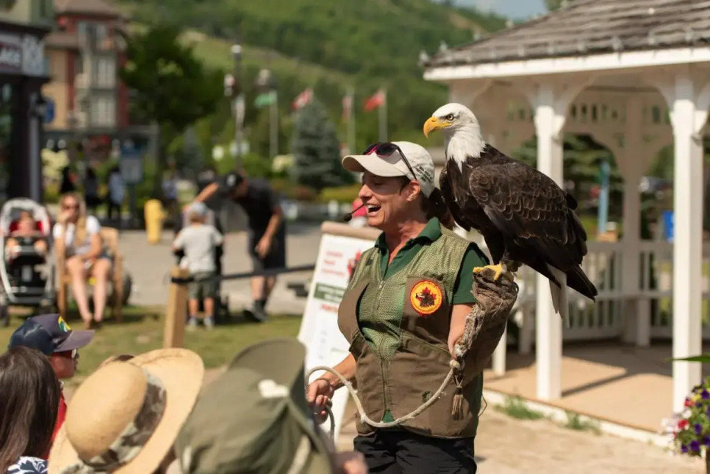 Mountain Walk - Blue Mountain Resort - фото 16