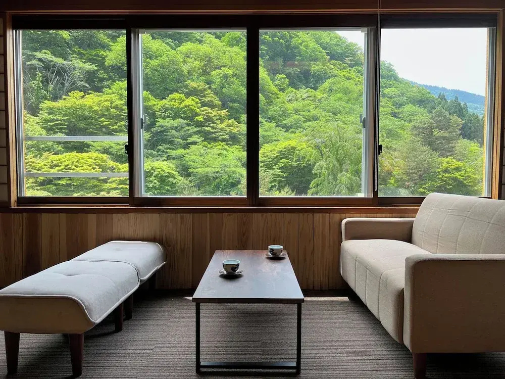 Standard Double room with river view (twin beds)