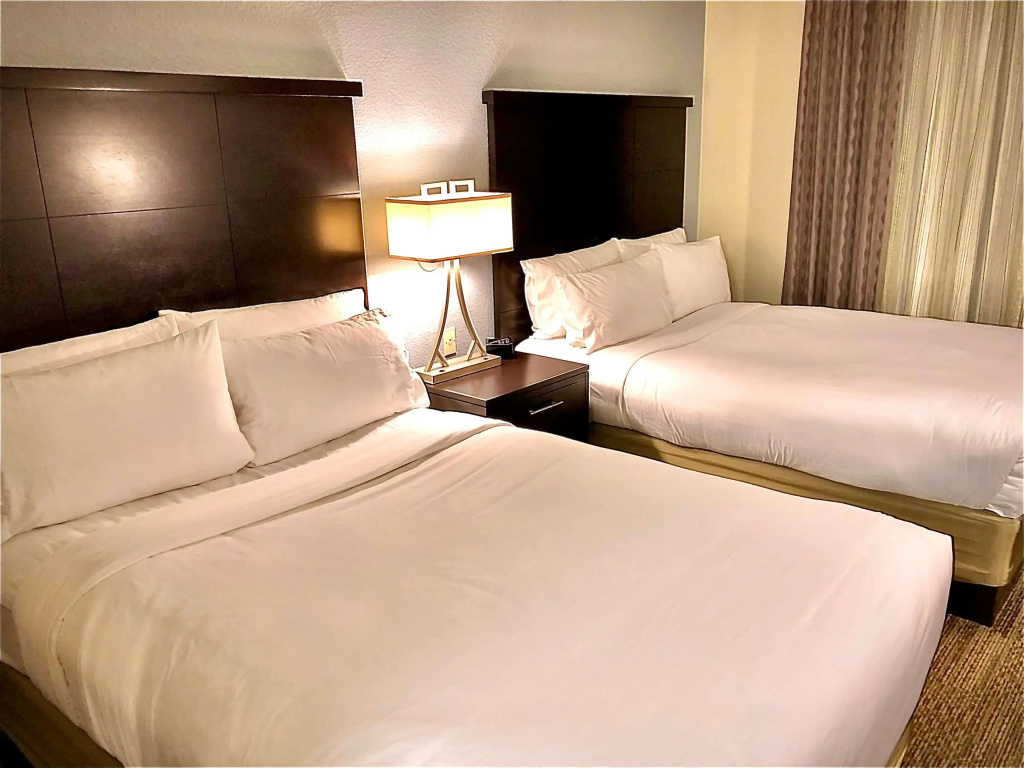 Sonesta ES Suites San Francisco Airport San Bruno - Général