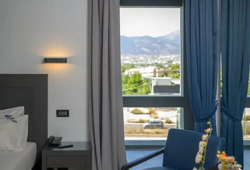 Deluxe Double room (full double bed)