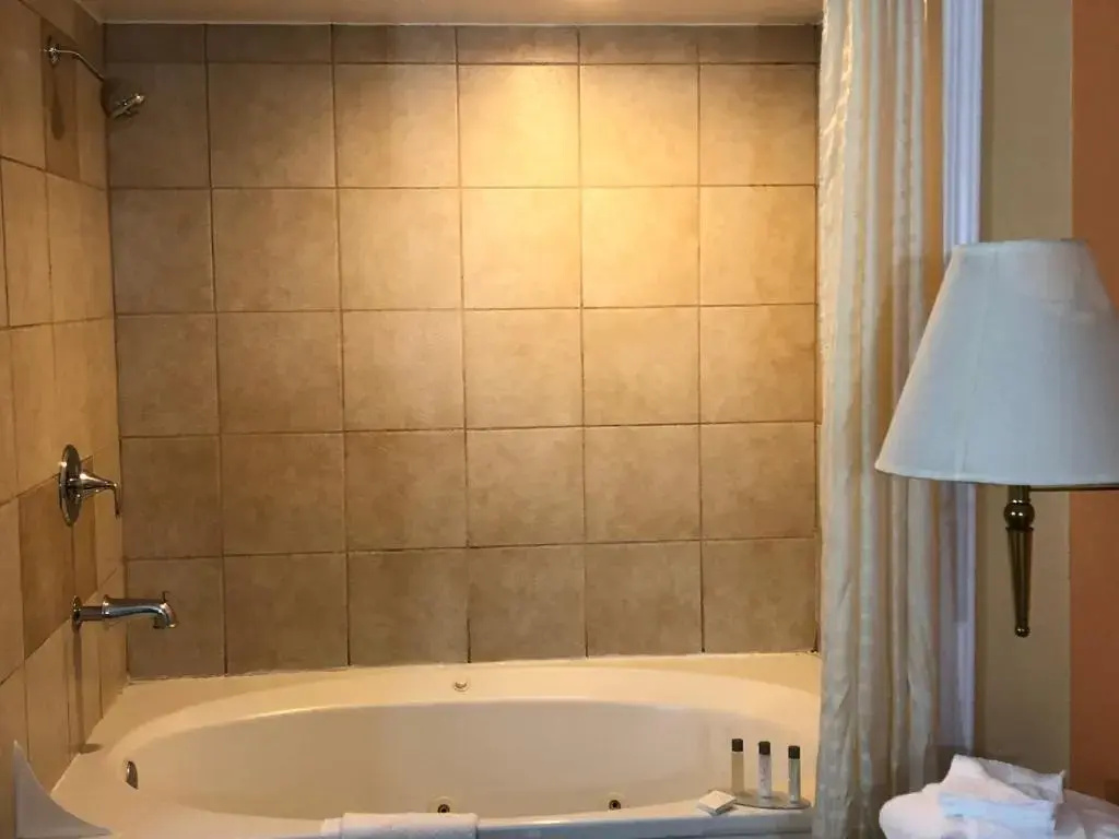 Alpine Inn and Spa - Chambres
