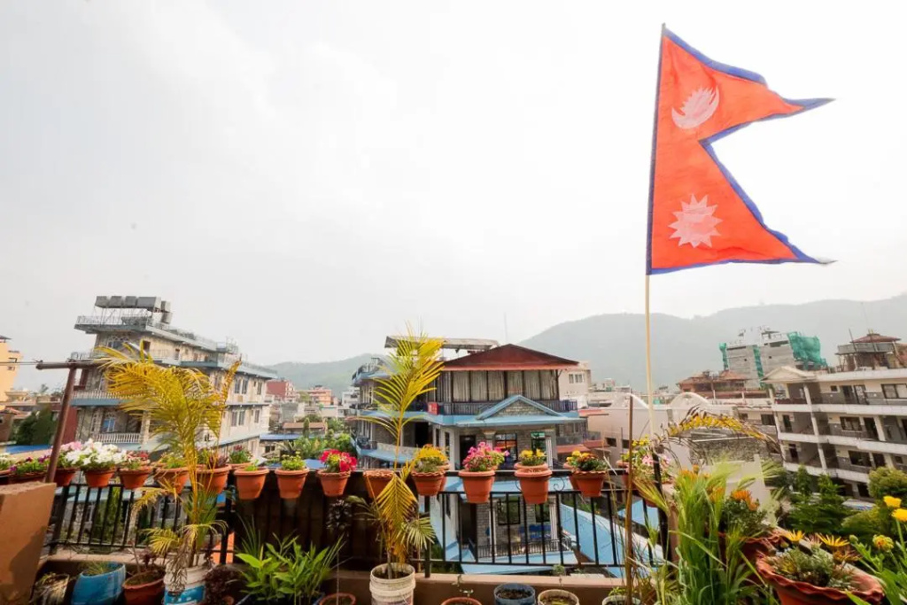 Hostel Future Homes Inn & Back Packers