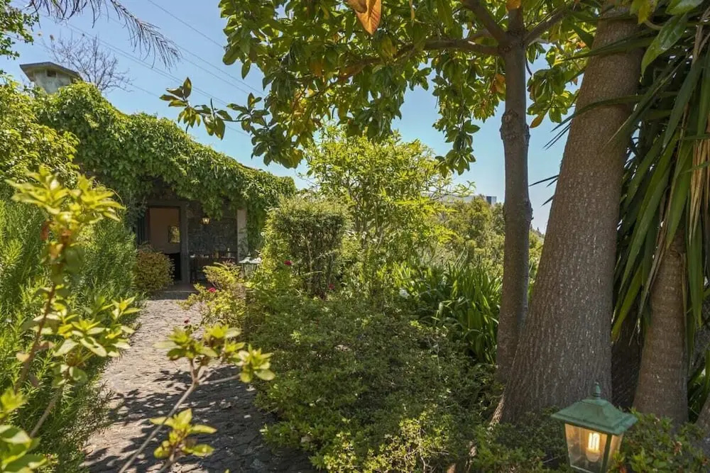 Quinta Devónia