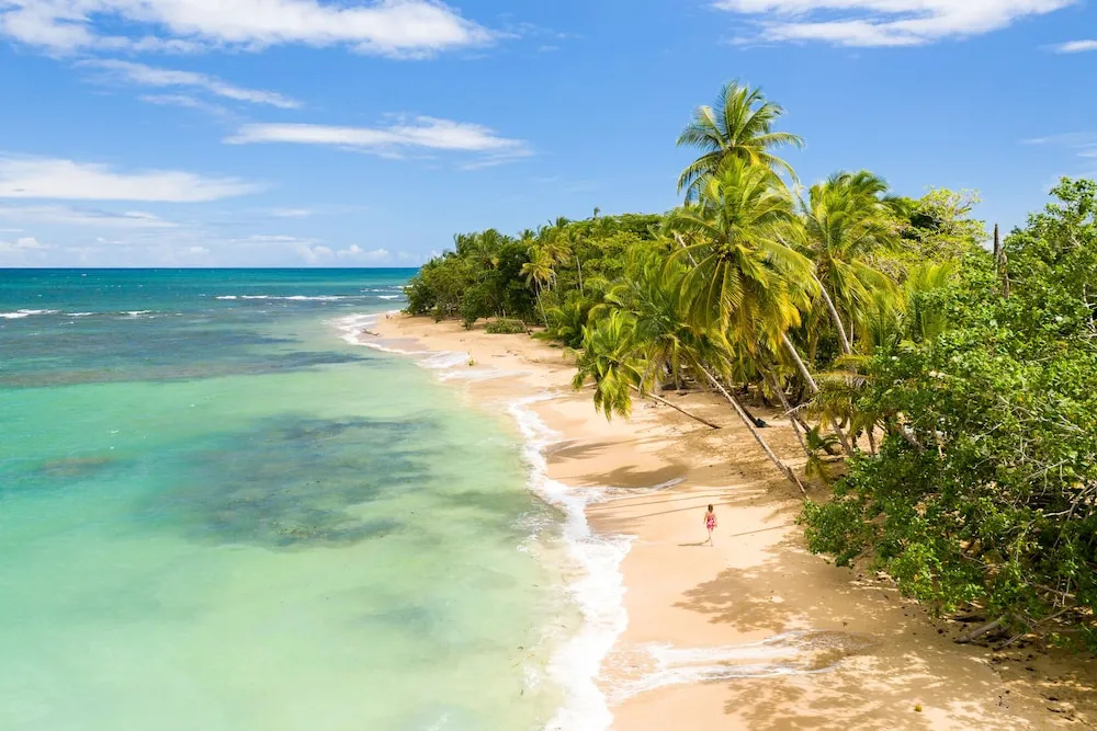 Beach & Waterfront