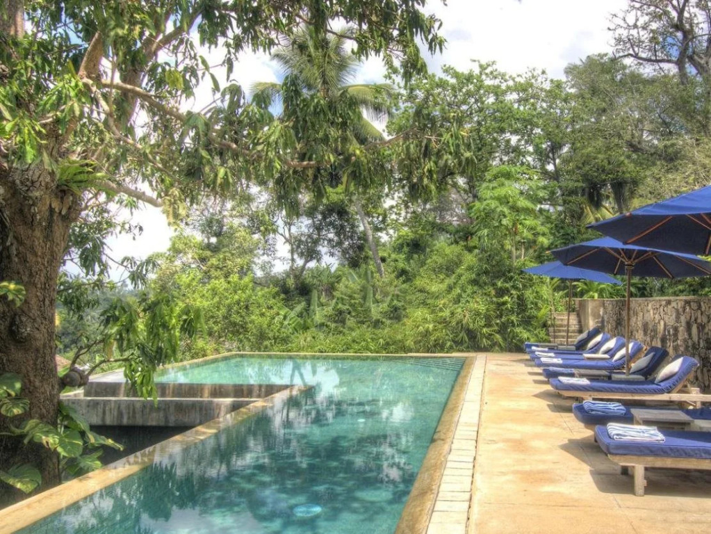 The Dutch House - фото 3