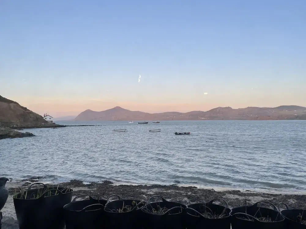 Beach & Waterfront
