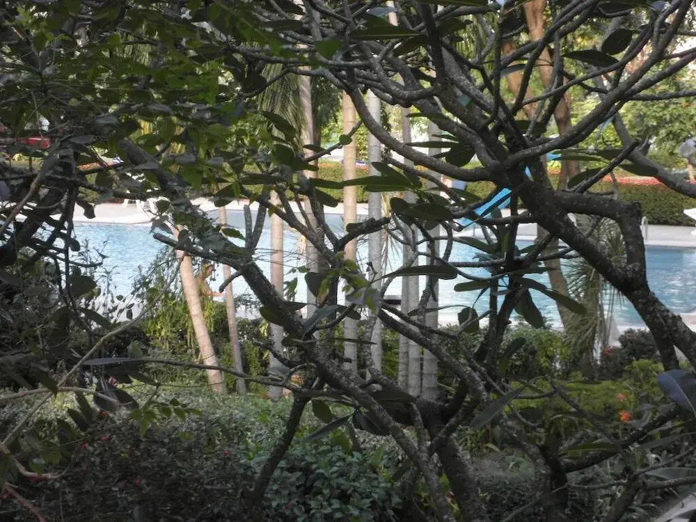 Baan Suan Lalana Td Floor 2 Room 203
