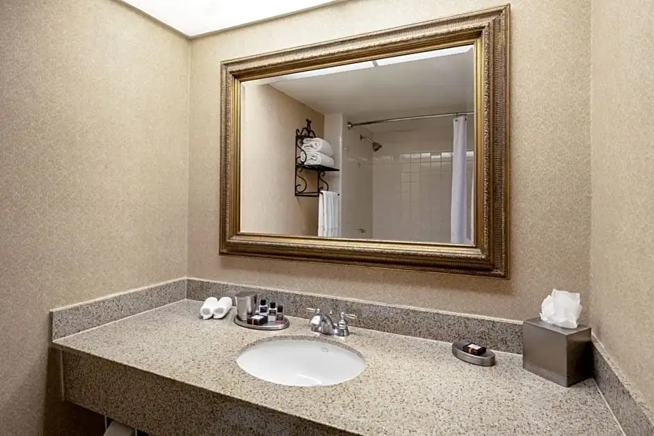 Austin Southpark Hotel - Chambres