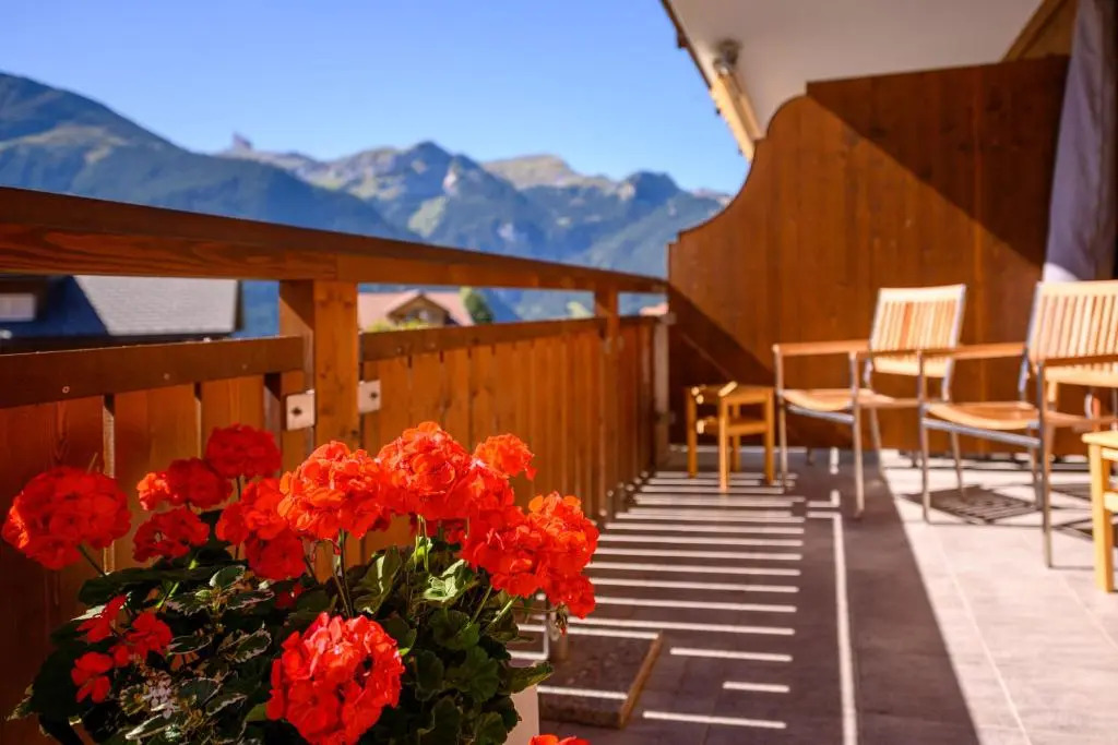 Chalet Bella Vista 4