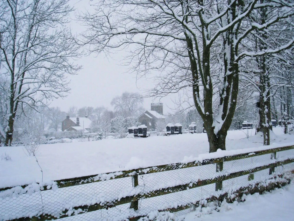 Falstone Barns