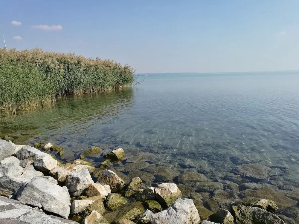 BF Hotel - фото 9