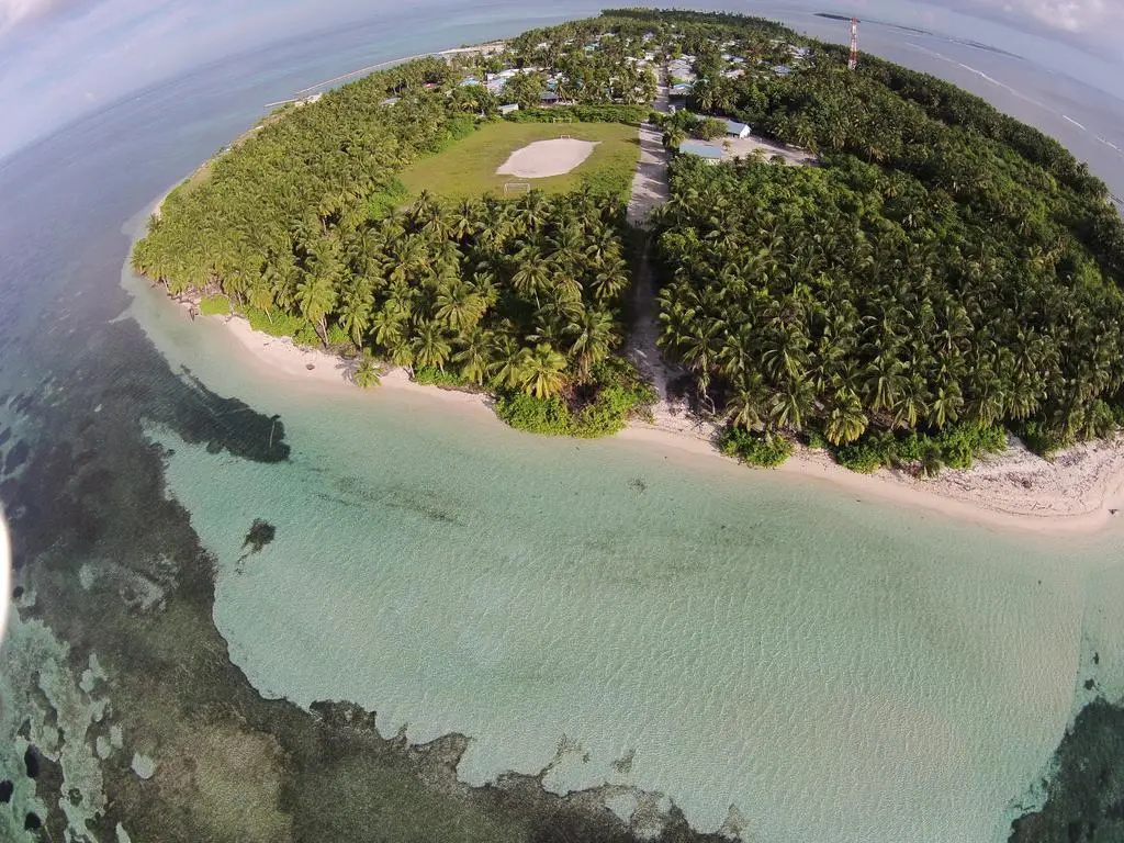 Pearl Beach View - Général