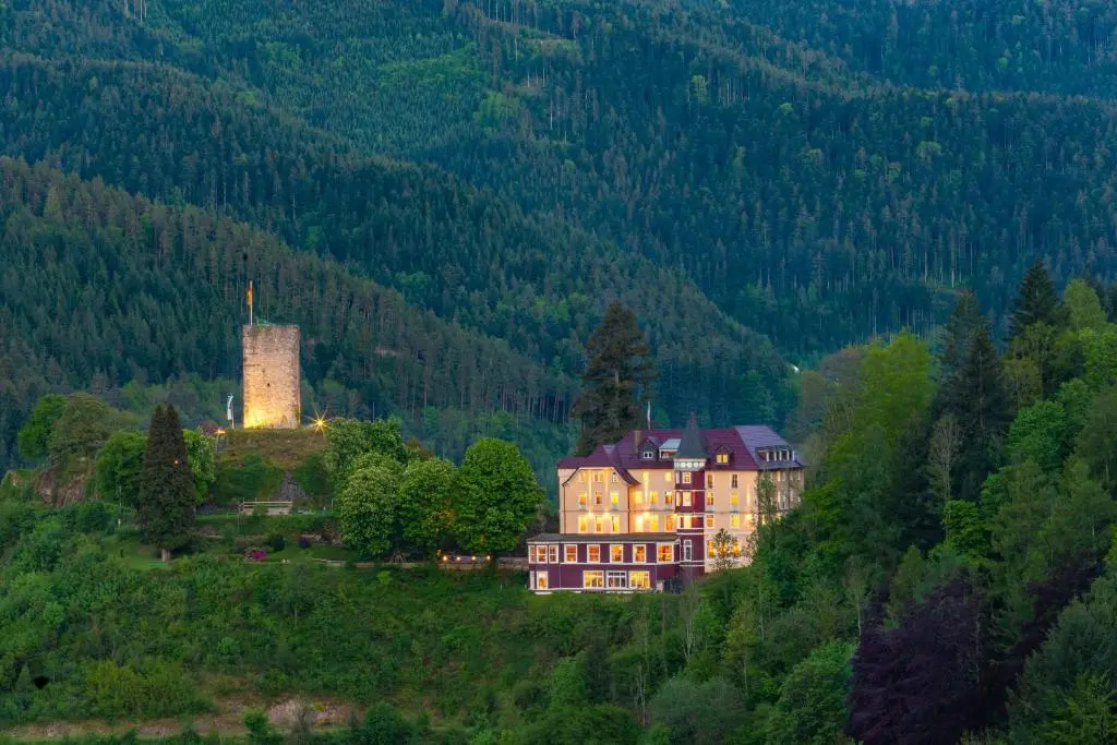 Schloß Hornberg - Général