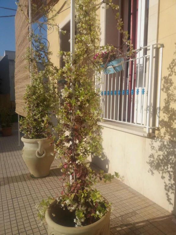Hotel photo 39