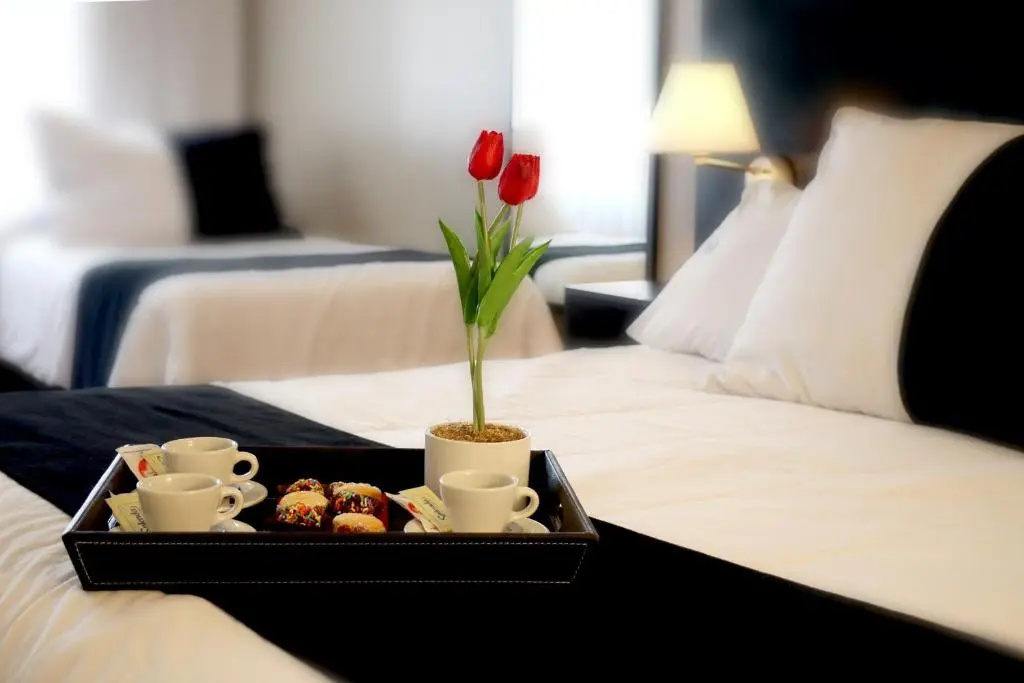 Pocitos Plaza Hotel - Chambres